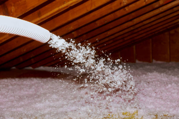 Professional Insulation Contractor in Sarasota, FL